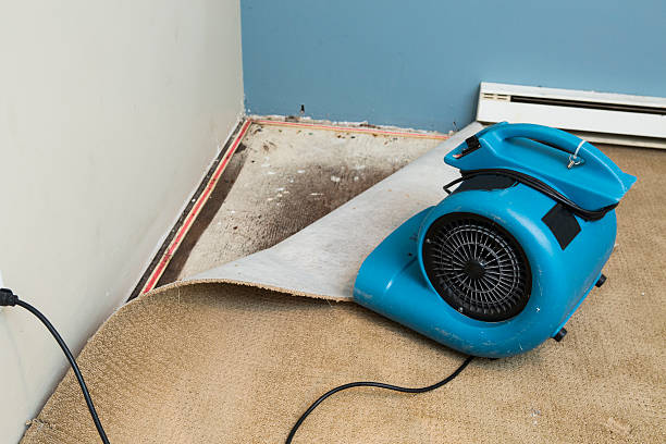 Best Basement Water Damage Restoration in Rancho Cordova, CA